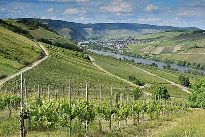 mosel-pixabay