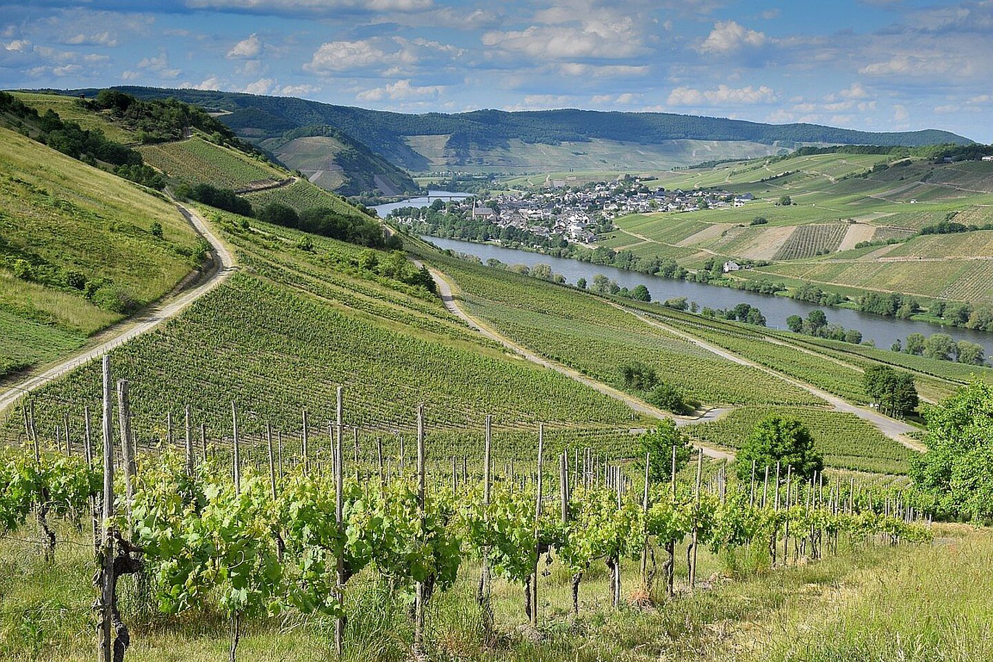 mosel-pixabay